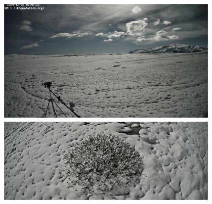 THE FIELD STATION SOLANDER’S EYE | Breiðamerkurjökull | Vatnajøkull | Iceland. Fresh, wet, and compacted snow blanketed the landscape overnight. Pioneer flora of the young landscape faces challenges – this shrub has been documented since 2022.
www.ikfoundation.org/fieldstat…