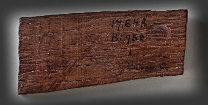 A piece of sandal-wood, contemporary with Carl Linnaeus’ observations. The sample probably originates from imported commodities to Sweden via the Swedish East India Company in the mid-18th century. | This piece of wood was part of economics professor Anders Bergh’s (1711-1774) educational collection in the period from the 1740s up to his death in 1774. (Courtesy: The Nordic Museum, Stockholm. NM.0017648B:958. DigitaltMuseum).